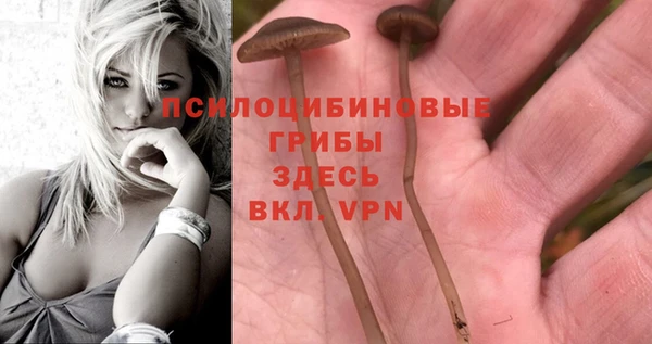метамфетамин Новодвинск