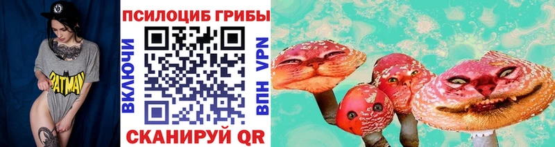 наркота  мориарти Telegram  Псилоцибиновые грибы мухоморы  Мурино 